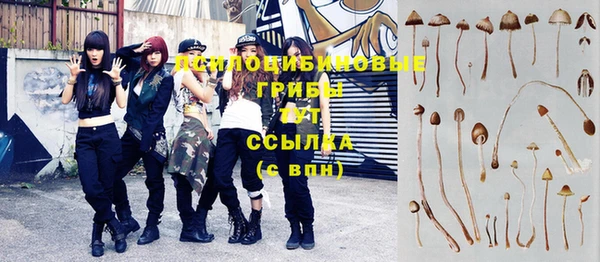 прущая мука Абаза