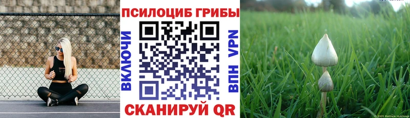 Галлюциногенные грибы MAGIC MUSHROOMS  купить наркоту  Белый 